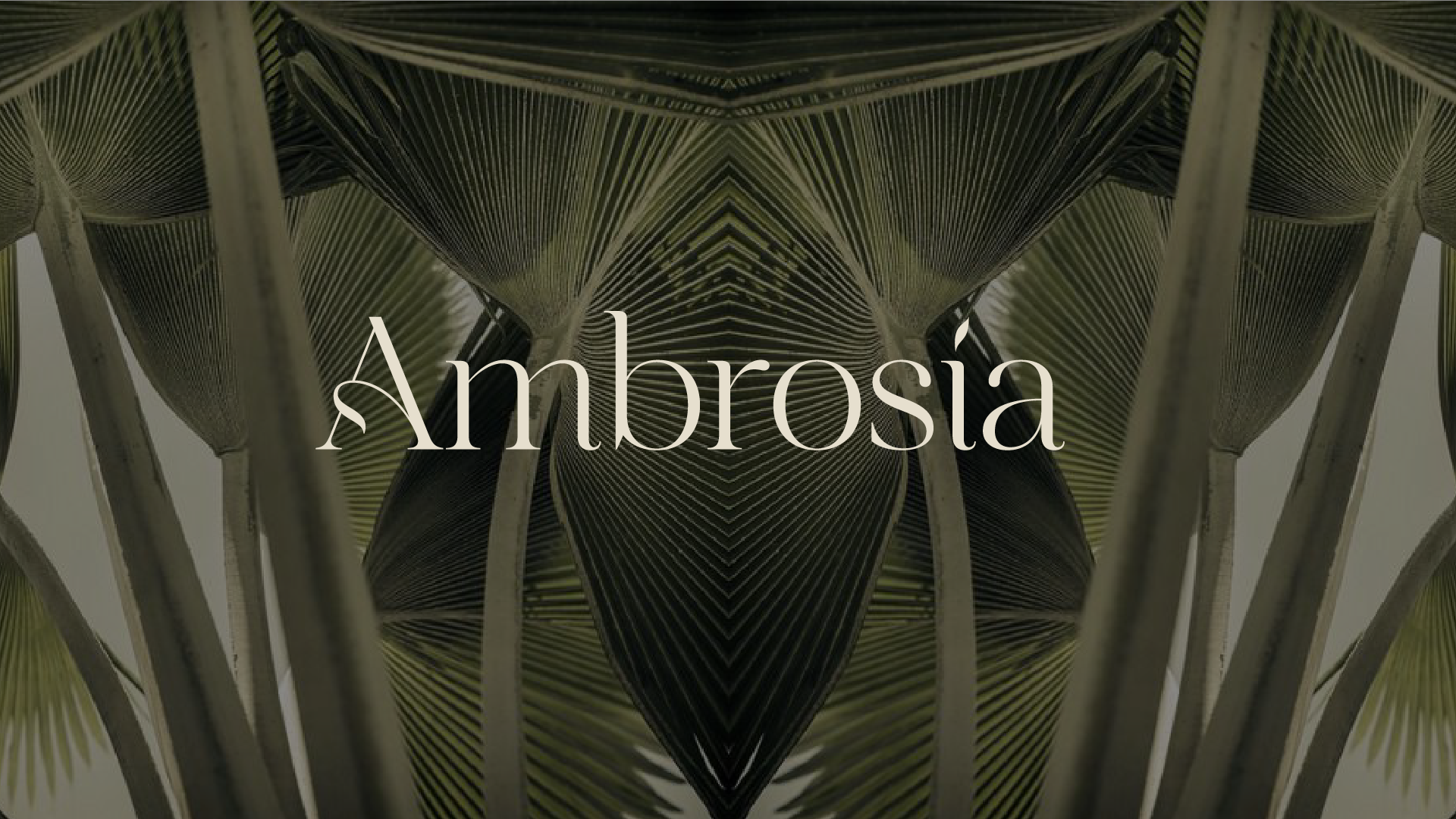Proyecto ambrosia