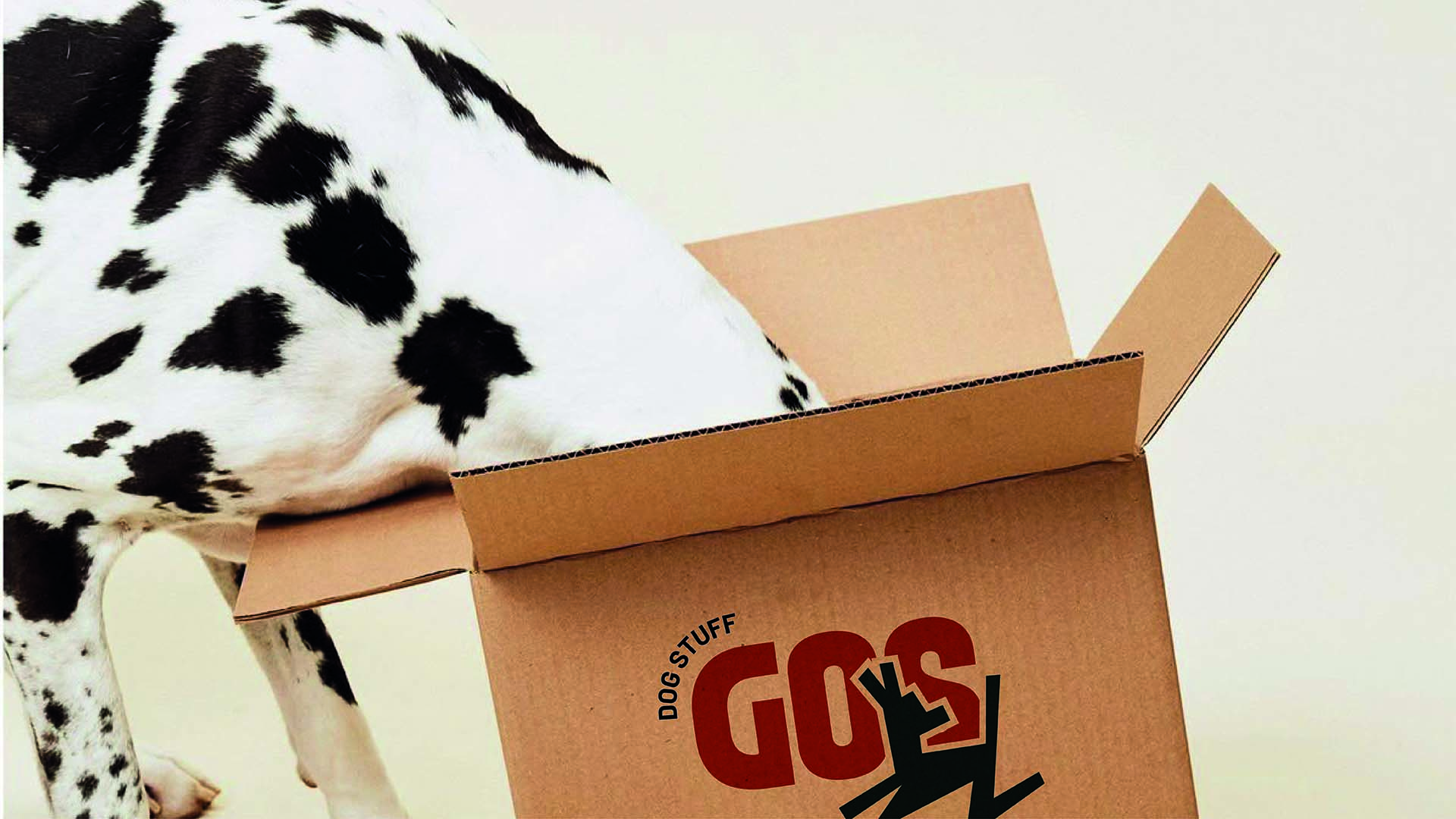 Gos stuff